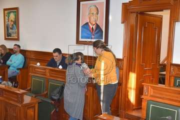 Pleno ordinario de enero de 2020 (Foto TA)